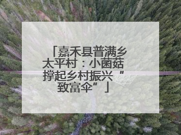 嘉禾县普满乡太平村：小菌菇撑起乡村振兴“致富伞”