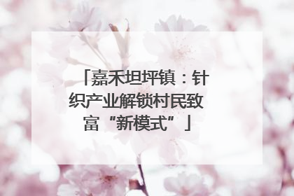 嘉禾坦坪镇：针织产业解锁村民致富“新模式”
