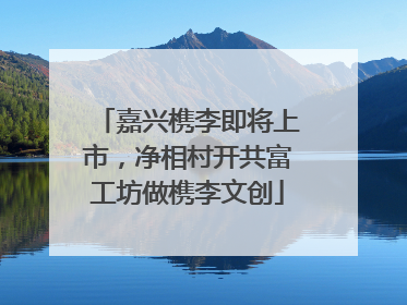 嘉兴槜李即将上市，净相村开共富工坊做槜李文创