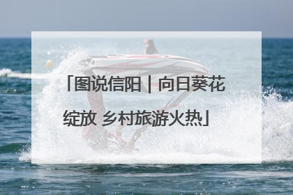 图说信阳｜向日葵花绽放 乡村旅游火热