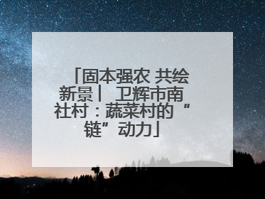 固本强农 共绘新景 ︳卫辉市南社村：蔬菜村的“链”动力