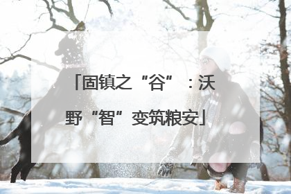 固镇之“谷”：沃野“智”变筑粮安