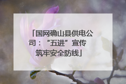 国网确山县供电公司：“五进”宣传 筑牢安全防线