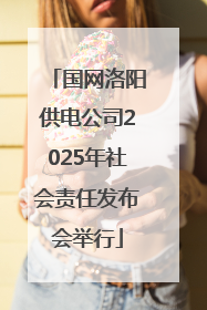 国网洛阳供电公司2025年社会责任发布会举行