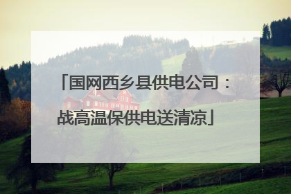 国网西乡县供电公司：战高温保供电送清凉