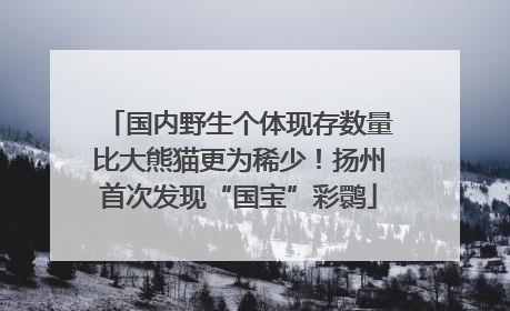 国内野生个体现存数量比大熊猫更为稀少！扬州首次发现“国宝”彩鹮