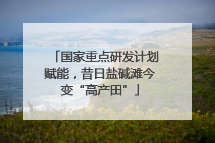 国家重点研发计划赋能，昔日盐碱滩今变“高产田”