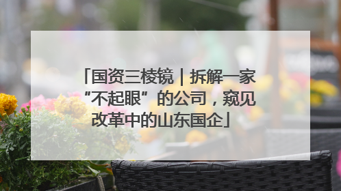 国资三棱镜｜拆解一家“不起眼”的公司，窥见改革中的山东国企
