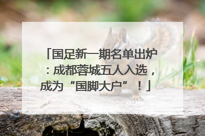 国足新一期名单出炉：成都蓉城五人入选，成为“国脚大户”！
