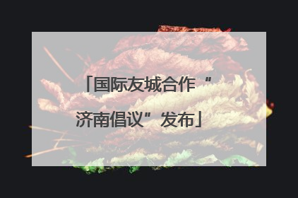 国际友城合作“济南倡议”发布