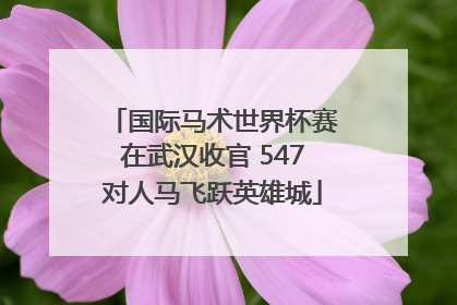 国际马术世界杯赛在武汉收官 547对人马飞跃英雄城