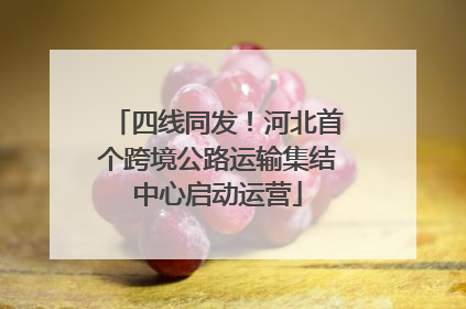 四线同发！河北首个跨境公路运输集结中心启动运营