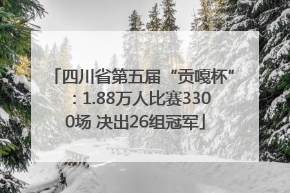 四川省第五届“贡嘎杯”：1.88万人比赛3300场 决出26组冠军