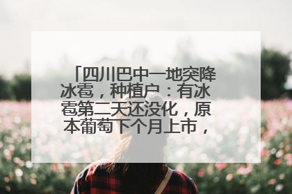 四川巴中一地突降冰雹，种植户：有冰雹第二天还没化，原本葡萄下个月上市，现在全被打落