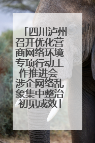 四川泸州召开优化营商网络环境专项行动工作推进会 涉企网络乱象集中整治初见成效