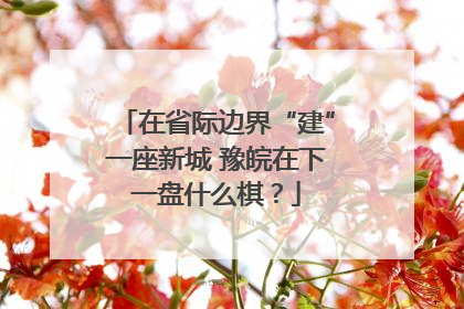 在省际边界“建”一座新城 豫皖在下一盘什么棋？