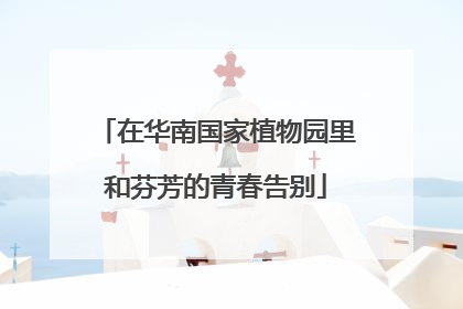 在华南国家植物园里和芬芳的青春告别