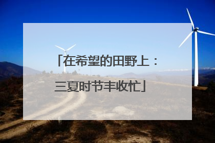 在希望的田野上：三夏时节丰收忙
