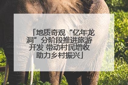 地质奇观“亿年龙洞”分阶段推进旅游开发 带动村民增收助力乡村振兴