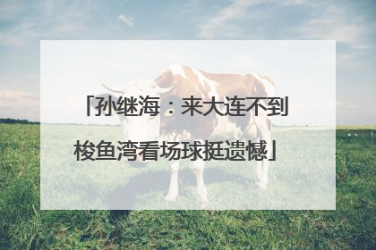 孙继海：来大连不到梭鱼湾看场球挺遗憾