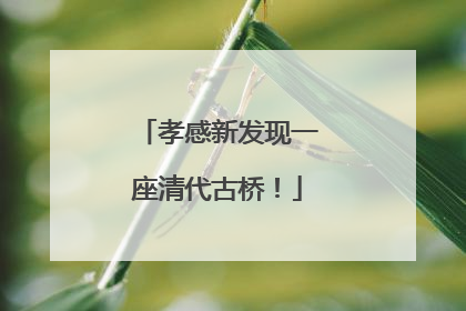 孝感新发现一座清代古桥！