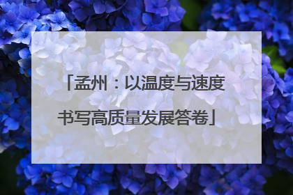 孟州：以温度与速度书写高质量发展答卷