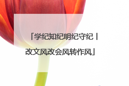 学纪知纪明纪守纪丨改文风改会风转作风