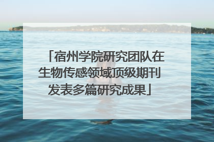 宿州学院研究团队在生物传感领域顶级期刊发表多篇研究成果