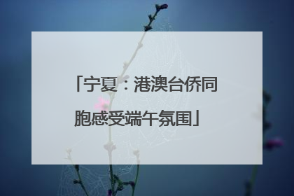 宁夏：港澳台侨同胞感受端午氛围
