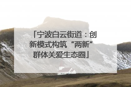 宁波白云街道：创新模式构筑“两新”群体关爱生态圈