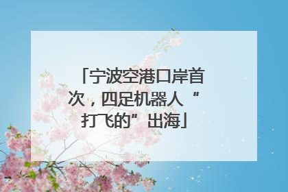 宁波空港口岸首次，四足机器人“打飞的”出海