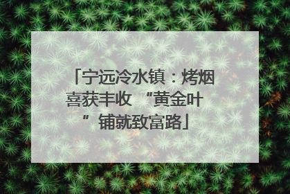 宁远冷水镇：烤烟喜获丰收 “黄金叶”铺就致富路