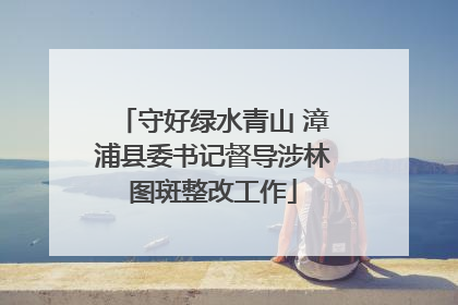 守好绿水青山 漳浦县委书记督导涉林图斑整改工作