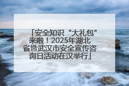 安全知识“大礼包”来啦！2025年湖北省暨武汉市安全宣传咨询日活动在汉举行