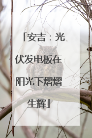 安吉：光伏发电板在阳光下熠熠生辉
