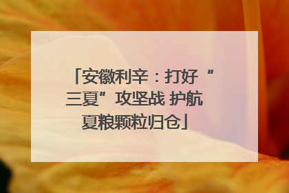 安徽利辛：打好“三夏”攻坚战 护航夏粮颗粒归仓