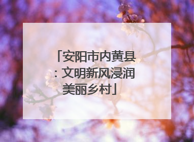 安阳市内黄县：文明新风浸润美丽乡村