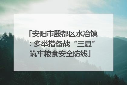 安阳市殷都区水冶镇：多举措备战“三夏” 筑牢粮食安全防线