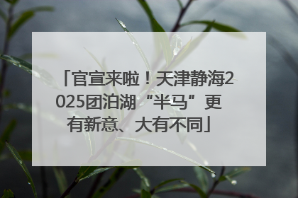 官宣来啦！天津静海2025团泊湖“半马”更有新意、大有不同