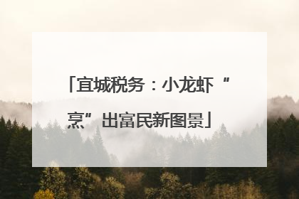 宜城税务：小龙虾“烹”出富民新图景