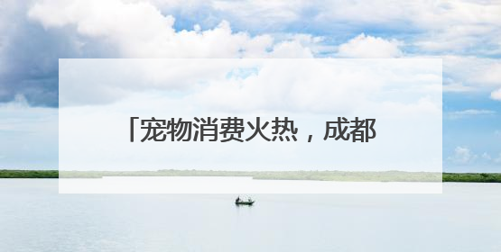 宠物消费火热，成都上演“萌宠总动员”