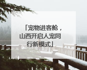 宠物进客舱，山西开启人宠同行新模式