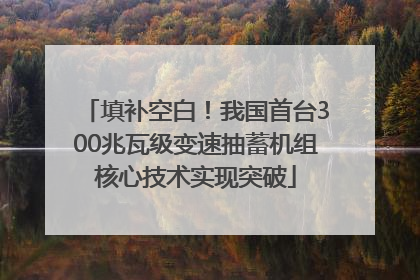 填补空白！我国首台300兆瓦级变速抽蓄机组核心技术实现突破