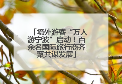 境外游客“万人游宁波”启动！百余名国际旅行商齐聚共谋发展