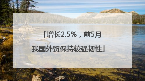 增长2.5%，前5月我国外贸保持较强韧性
