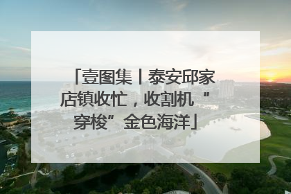 壹图集丨泰安邱家店镇收忙，收割机“穿梭”金色海洋