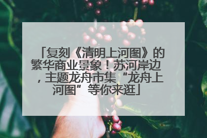 复刻《清明上河图》的繁华商业景象！苏河岸边，主题龙舟市集“龙舟上河图”等你来逛