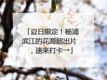 夏日限定！杨浦滨江的花海超出片，速来打卡→