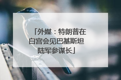 外媒：特朗普在白宫会见巴基斯坦陆军参谋长