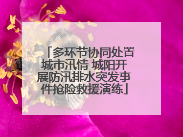 多环节协同处置城市汛情 城阳开展防汛排水突发事件抢险救援演练